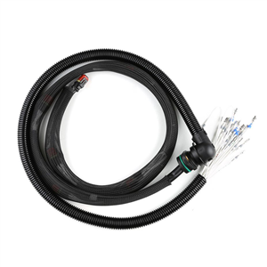 OEM 22248490 Wiring Harness For Volvo Truck