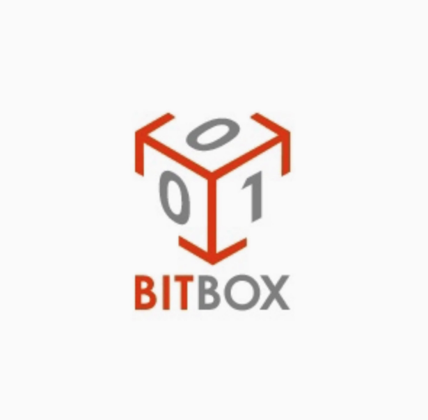 Bitbox Dongle & Bitbox Module for Ford Vitesco/Continental Gen2 Work with Scanmatik 2 PRO SM2 Pro SM3 PRO Programmer